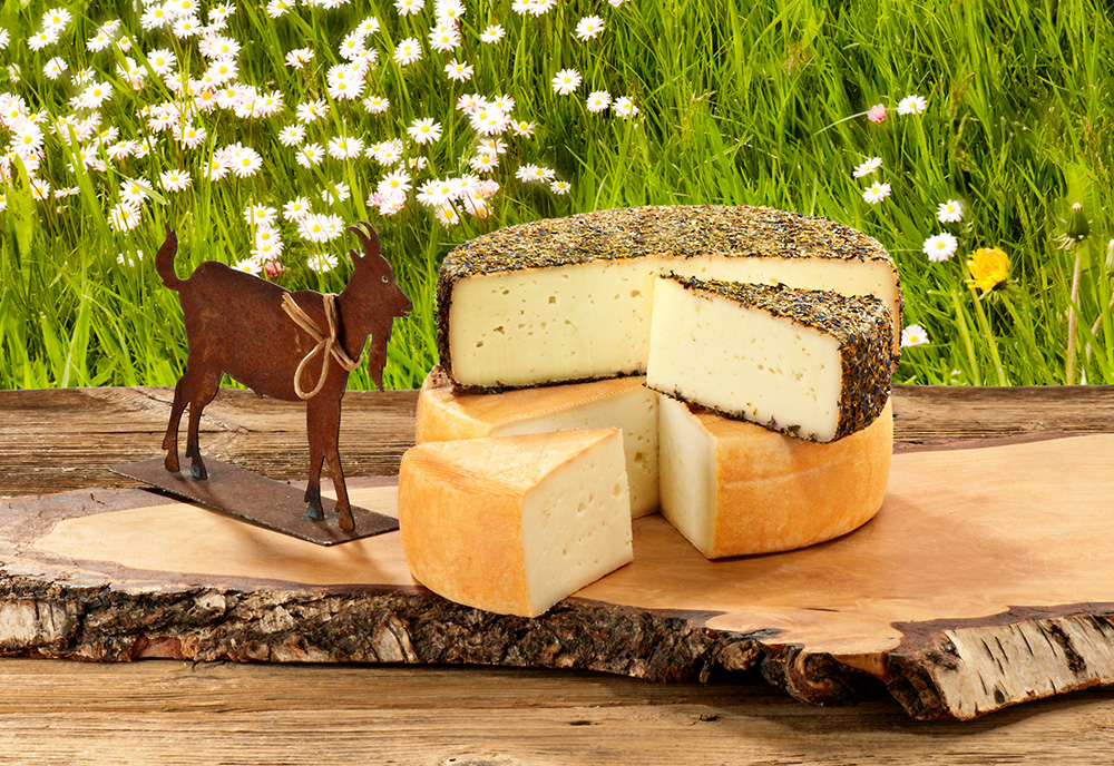 Oberstdorfer BIO-Ziegenkäse